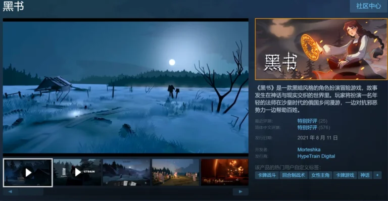 Black Book is an adventure role-playing video game, developed by Morteshka